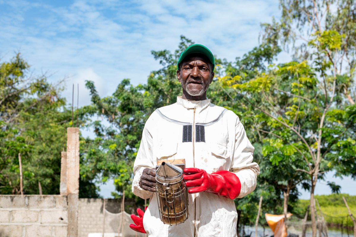 FIDAfriqueOuest's tweet photo. Le FIDA accompagne plus de 1⃣0⃣0⃣0⃣ programmes et projets et œuvre pour un🌍où chaque communauté - aussi éloignée soit-elle - puisse être à l'avant-garde du changement et nous construire un avenir meilleur à tous🌾🌽🌧️💧🍒🥬. https://t.co/WhuoXXOgVF