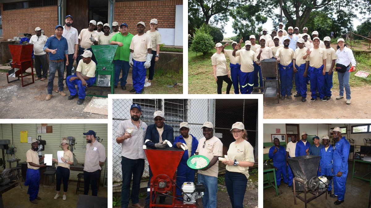 bramaccimmyt's tweet image. All these happy faces &amp;amp; working hands motivate us to bring south-south experiences in #SmartMechanization to #AccelerateInnovation in #Africa. In #Malawi, @CIMMYT &amp;amp; its allies are coming together to co-create, for example, a prototype for processing cassava.