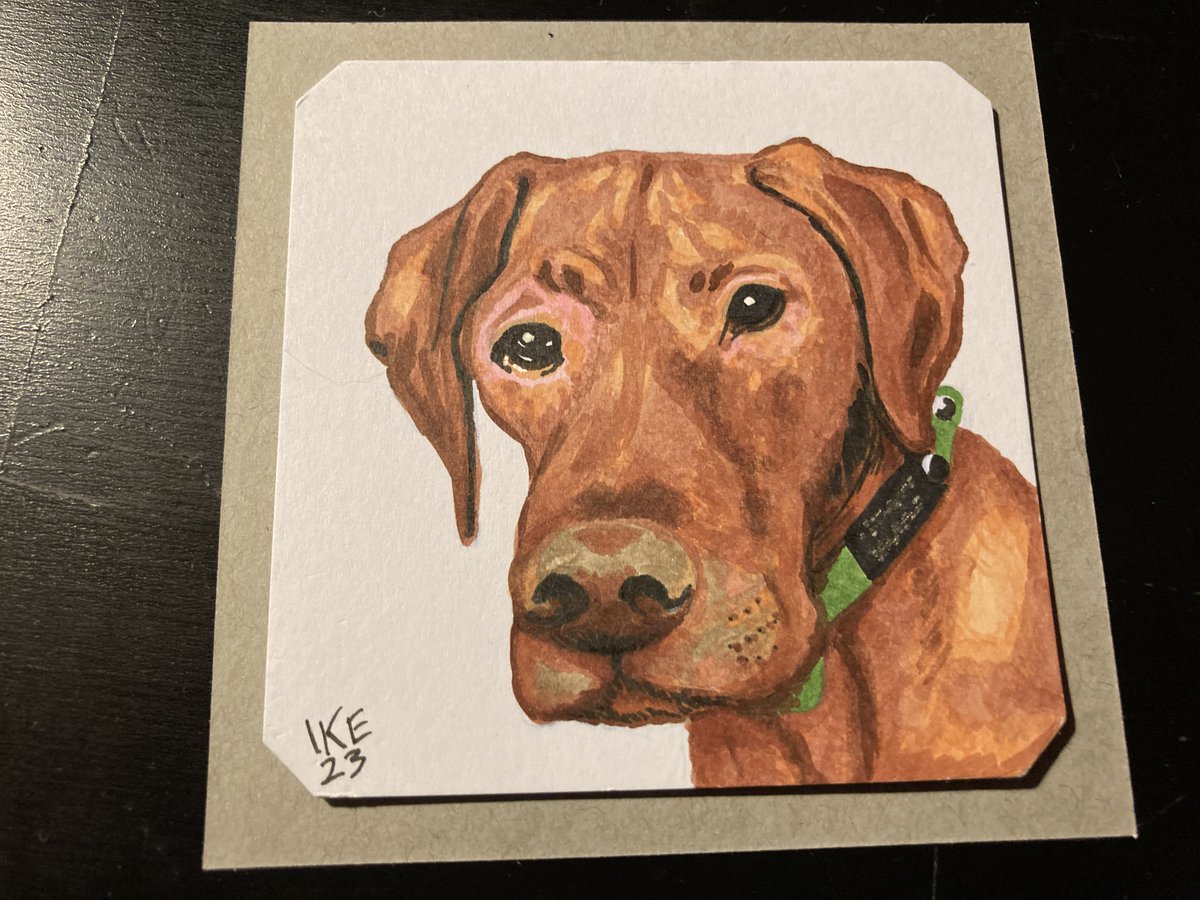 DropTableTweets's tweet photo. Loki, a fun loving affable goofball. #art #illustration #commission #drawing https://t.co/mF6lhngtzb