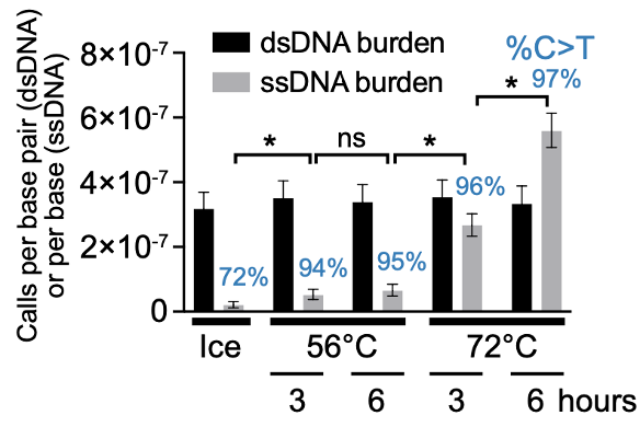 🧬 Preprint 🧬
Most mutations begin as a change in only one of the two DNA strands.

To see these sing...