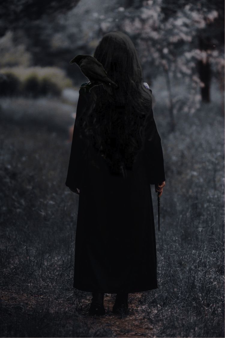 LyaLestrange's tweet photo. (ᴅᴇꜱ)ᴇɴᴄᴜᴇɴᴛʀᴏꜱ ꜰᴀᴍɪʟɪᴀʀᴇꜱ
———————————————
#Monorol #Magicrp https://t.co/MlycPn2WRc