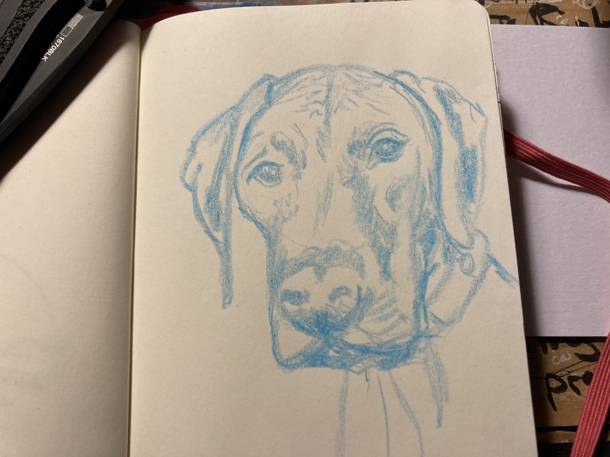 DropTableTweets's tweet photo. Loki, a fun loving affable goofball. #art #illustration #commission #drawing https://t.co/mF6lhngtzb