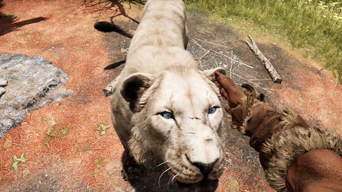 DarthZaumm's tweet photo. Esse felino tem historia #PS4share https://t.co/D06S1fjdym