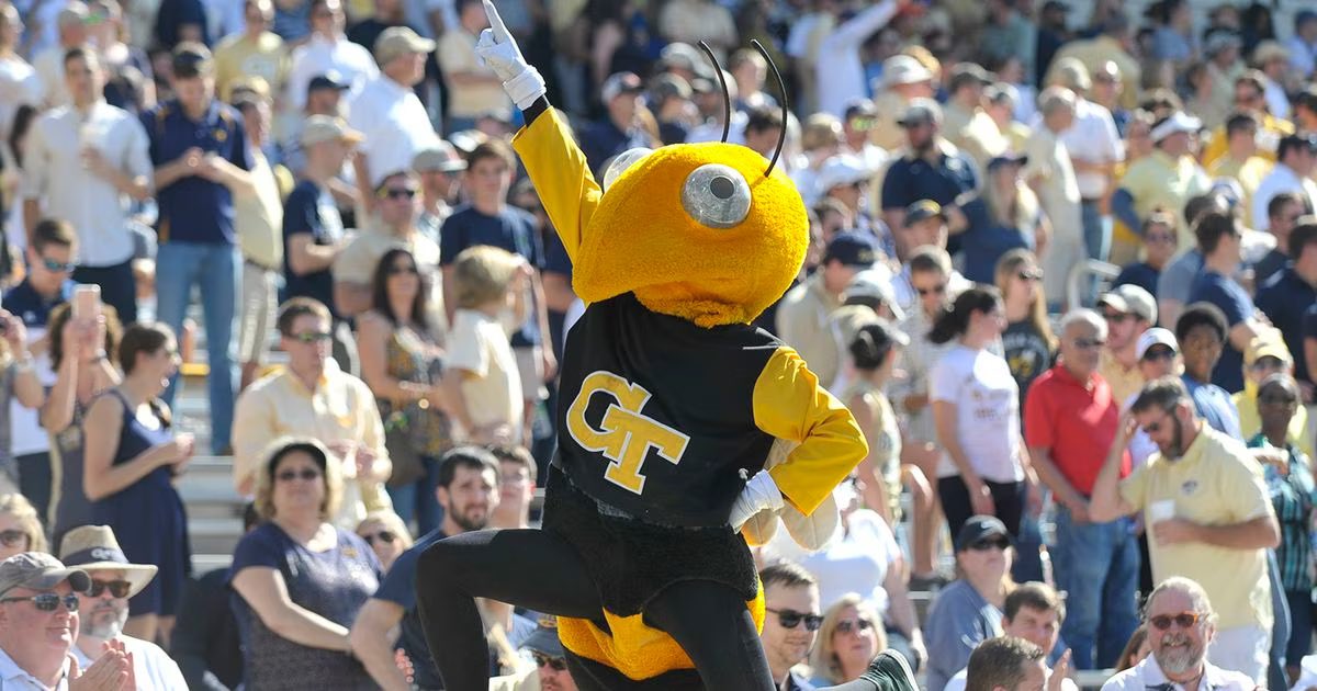 Dylan Stephenson tweet media