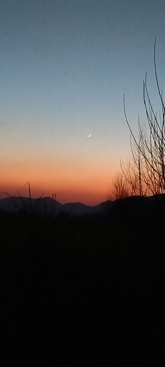 Inayatu08657479's tweet photo. Tamam doston ko Shaban ka chand Mubarak. https://t.co/1aO0dFTEWk