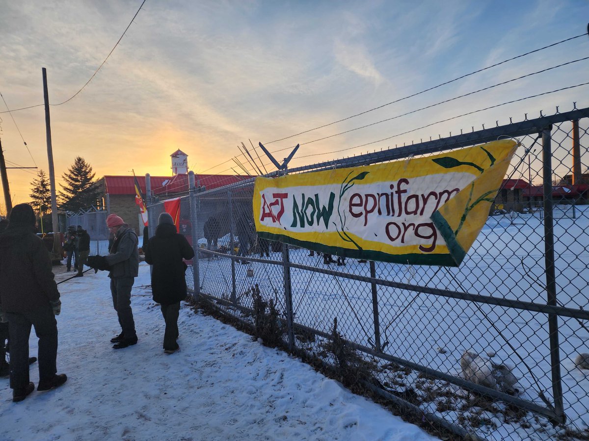 NDN Collective tweet media