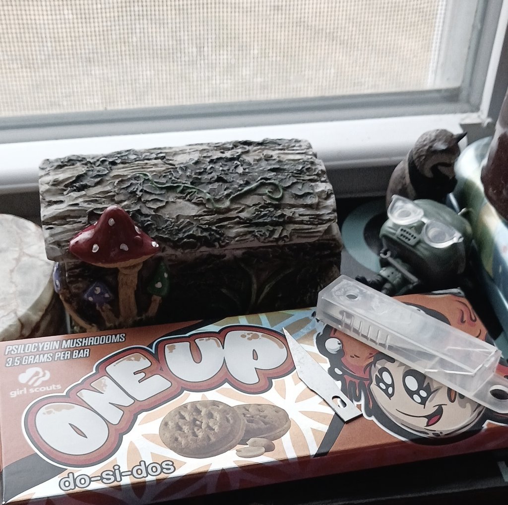 bloodofthehound's tweet photo. It's these two things being hidden together for me. I miss shroomy summer https://t.co/GjIsoLI63U