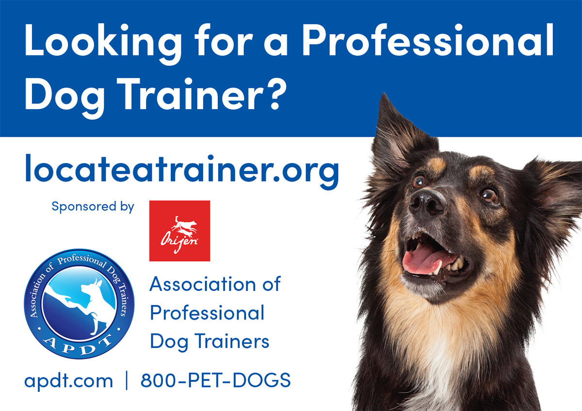 APDT's tweet photo. Looking for a professional dog trainer? Use https://t.co/q0n83MjSxt to search for an APDT-member trainer in your area.
#APDT https://t.co/mjbcgQQI4T