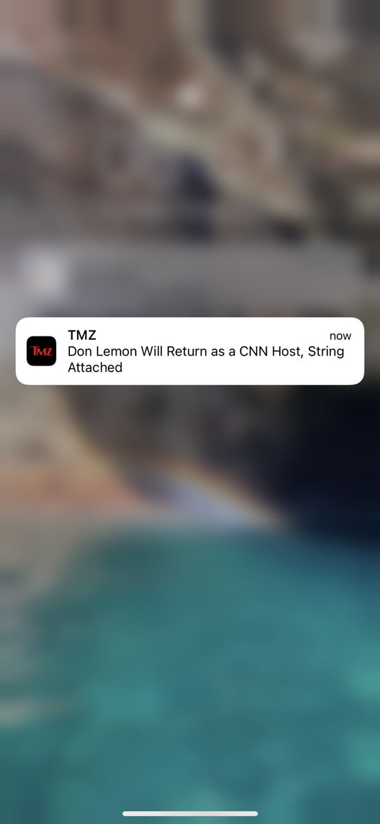 Zoey Lyttle tweet media