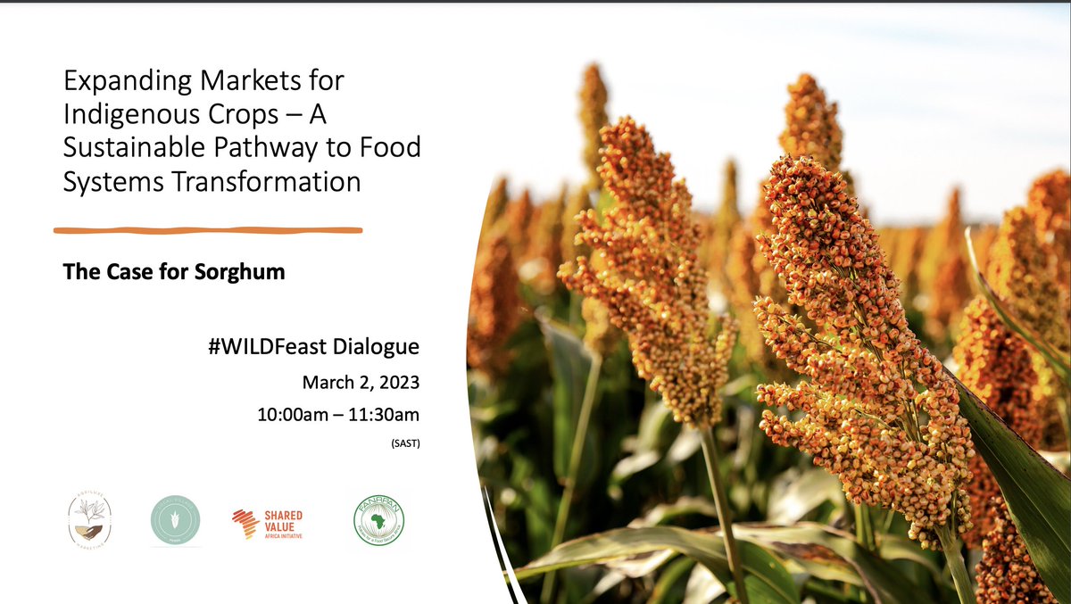 Food, Agric. & Nat. Res. Policy Analysis Network (@fanrpan) on Twitter photo Interested in exploring #Sorghum and its benefit?
Join us for this exciting dialogue!
02 March 2023
Time: 10:00 - 11:30 am SAST (GMT+2)
Register here: bit.ly/3IkKNGk
<a href="/agriluxe/">Agriluxe Marketing</a> <a href="/FANRPAN/">Food, Agric. & Nat. Res. Policy Analysis Network</a>
#WILDFeast #FoodSystems Interested in exploring #Sorghum and its benefit?
Join us for this exciting dialogue!
02 March 2023
Time: 10:00 - 11:30 am SAST (GMT+2)
Register here: bit.ly/3IkKNGk
<a href="/agriluxe/">Agriluxe Marketing</a> <a href="/FANRPAN/">Food, Agric. & Nat. Res. Policy Analysis Network</a>
#WILDFeast #FoodSystems