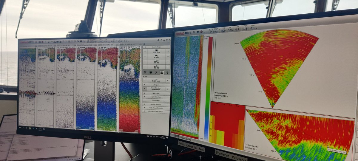 We are currently in the Bransfield Strait 🇦🇶 in the search for Antarctic krill 🦐. The whales found them before us but we are now mapping a big swarm using the onboard acoustics. Excited about the prospect of target fishing later on. #RRSSirDavidAttenborough #SDAScience