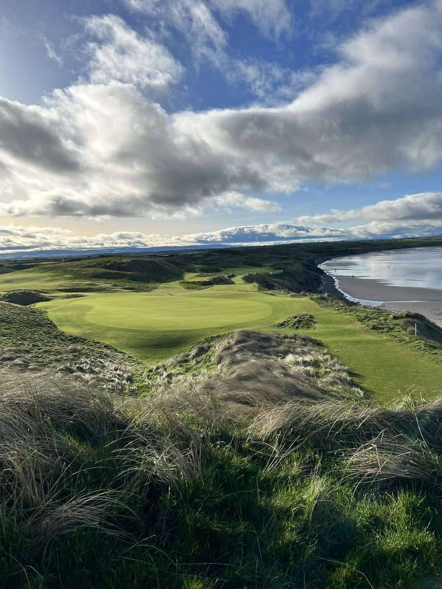 Emma O' Driscoll tweet media