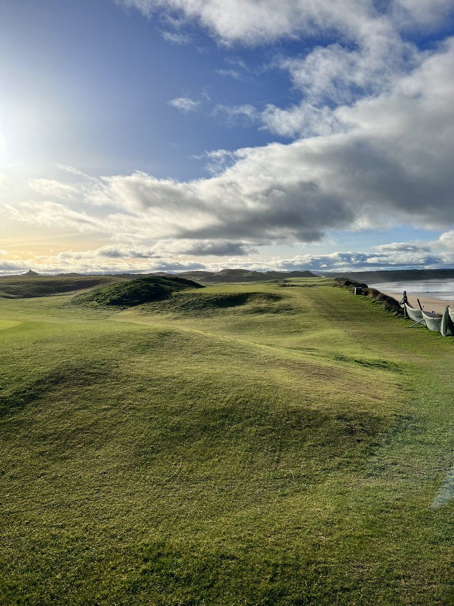 Emma O' Driscoll tweet media