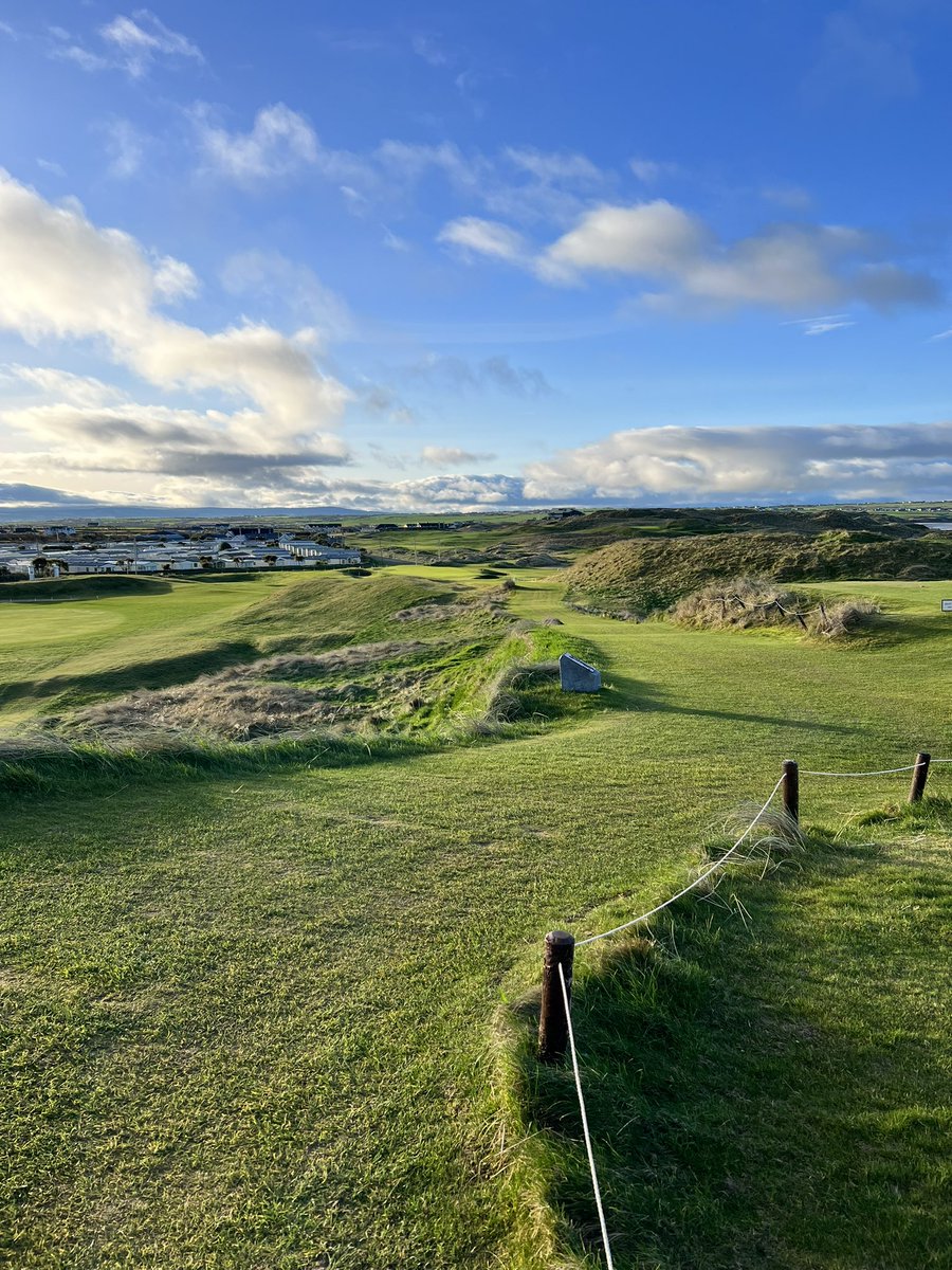 Emma O' Driscoll tweet media