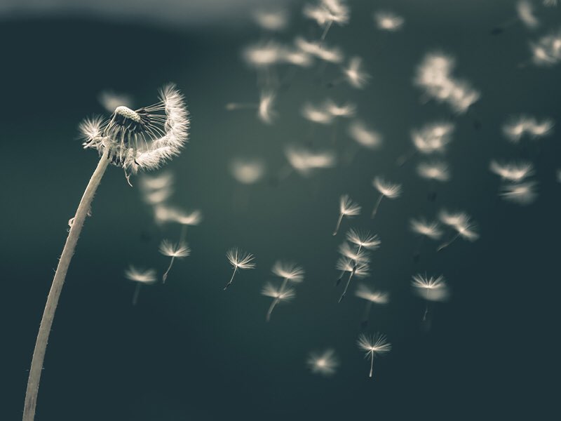 nene-on-twitter-rt-serenefiims-i-can-t-take-out-all-the-things