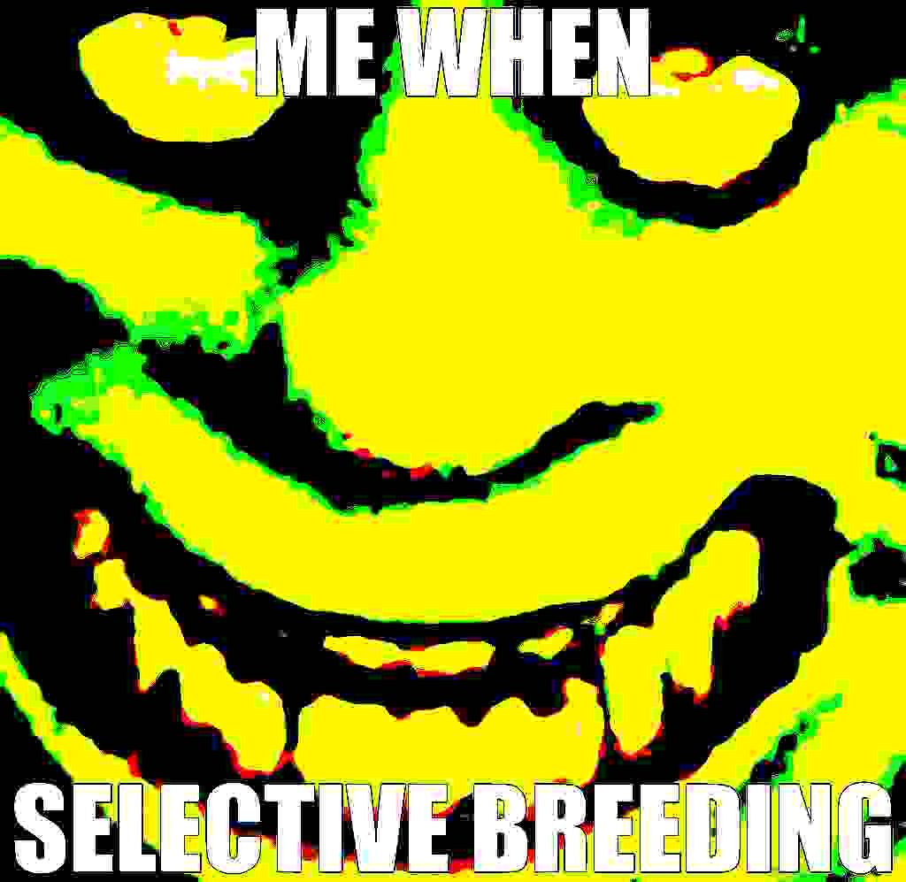 Randomaniac tweet media