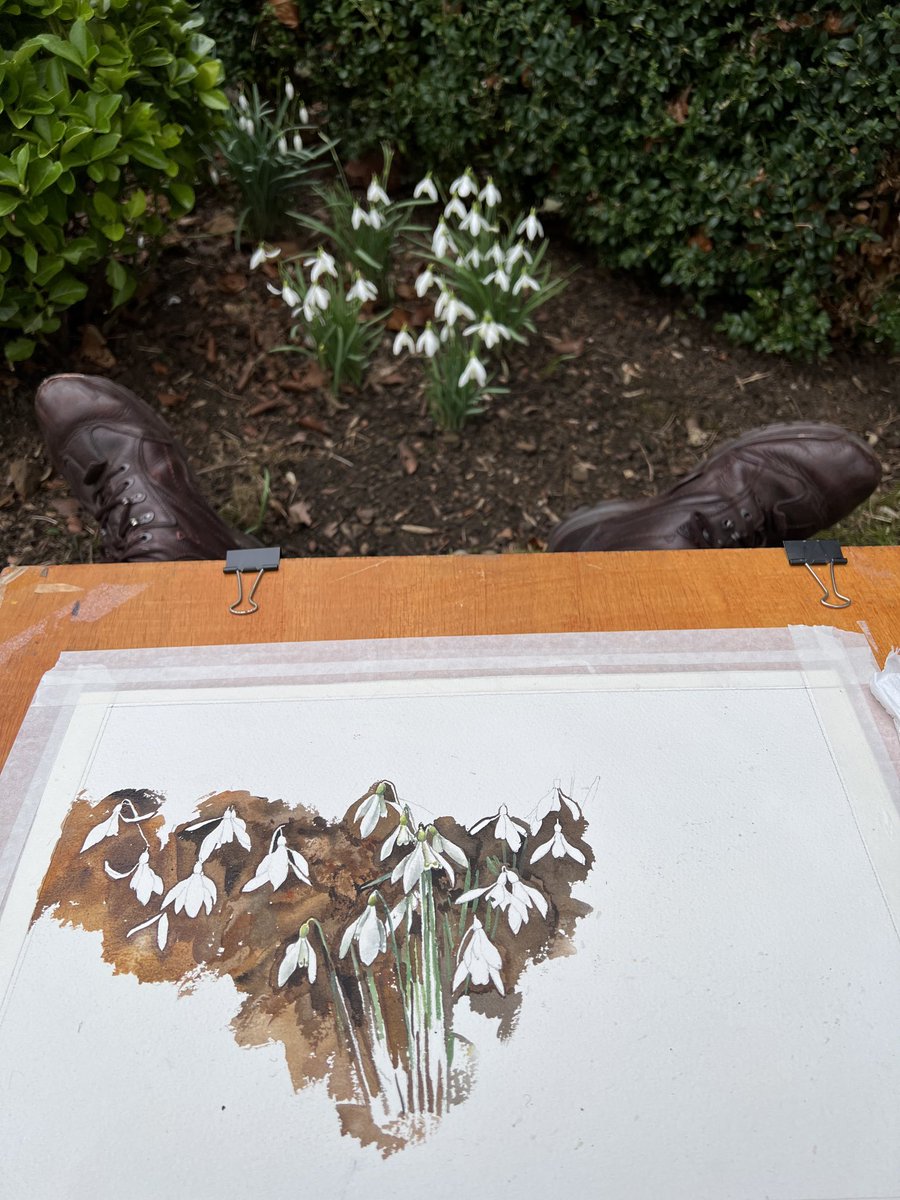 mtaylorart1's tweet photo. #Painting #snowdrops in #Northampton Carhedral in #watercolour. https://t.co/AarUQJVenD