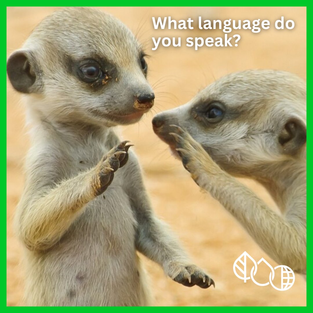 NatureConnectSA's tweet photo. Happy International Mother Language Day! Let's not forget the universal language we all speak and understand โ the language of nature. Take a moment to appreciate its beauty and learn from its messages through environmental education.
#MotherLanguageDay #LanguageOfNature ๐ฟ๐ https://t.co/1Ybj18FCIq