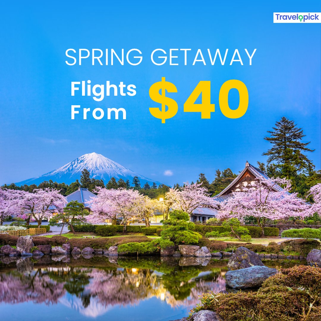 travelopick's tweet image. Spring is almost here and you deserve this break. Visit travelopick.com/us to book cheap flights

#spring #springbreak #springvacation #japan #japantravel #japantrip #japanphotography #japanphoto #mountfuji #vacation #vacationtime