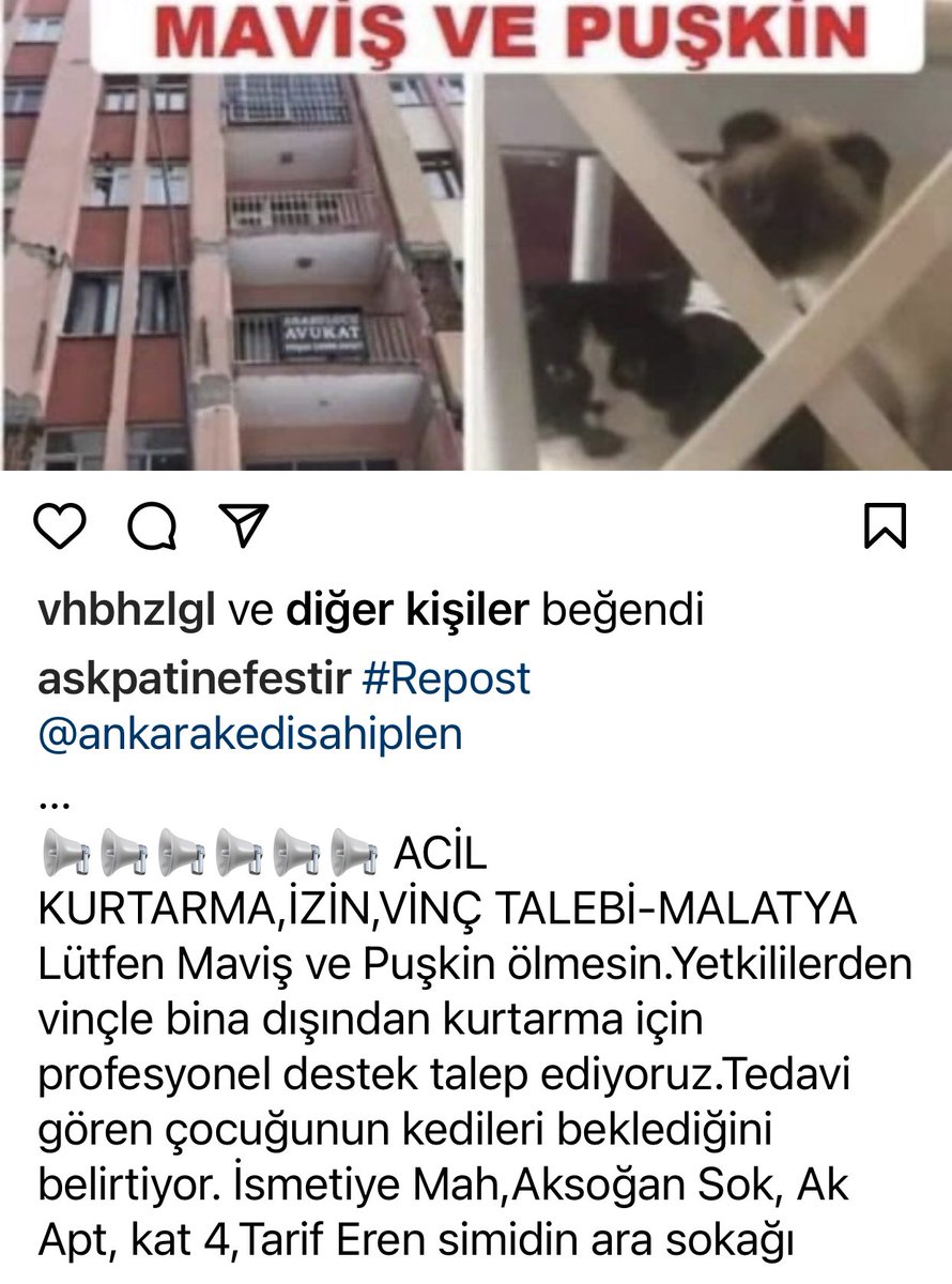 Pepil13's tweet photo. @haluklevent @MalatyaBelTr @ChpMalatyaGK @akpmalatya @ahbap https://t.co/s4R80YeRFo