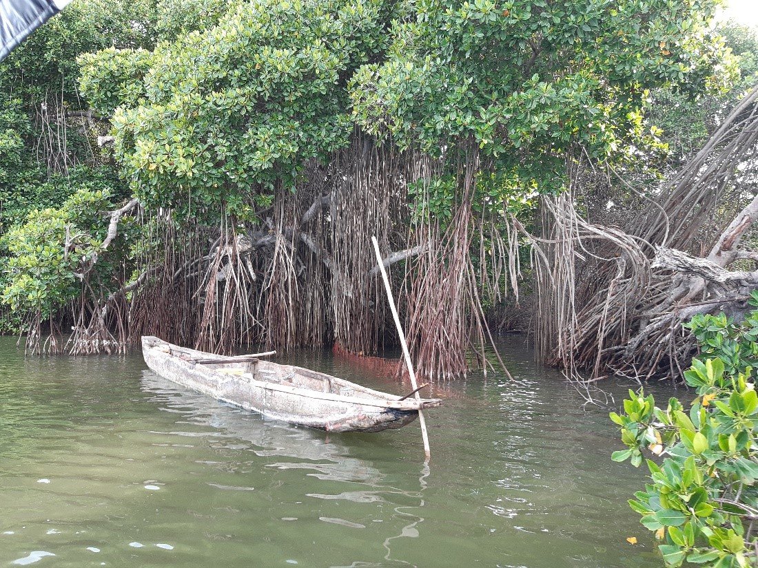 To address water use inefficiencies, uncertainty in water availability &amp; usage in Magdalena <a href="/minlnv/">Minlvvn</a> commissioned #ResilienceBV &amp; <a href="/WaterAcacia/">Acacia Water</a> to conduct a study on water use, availability &amp; governance &amp; to develop a Decision Support System See <a href="/AgroBericht/">AgroberichtenBuitenland</a> tinyurl.com/43a8rbap
