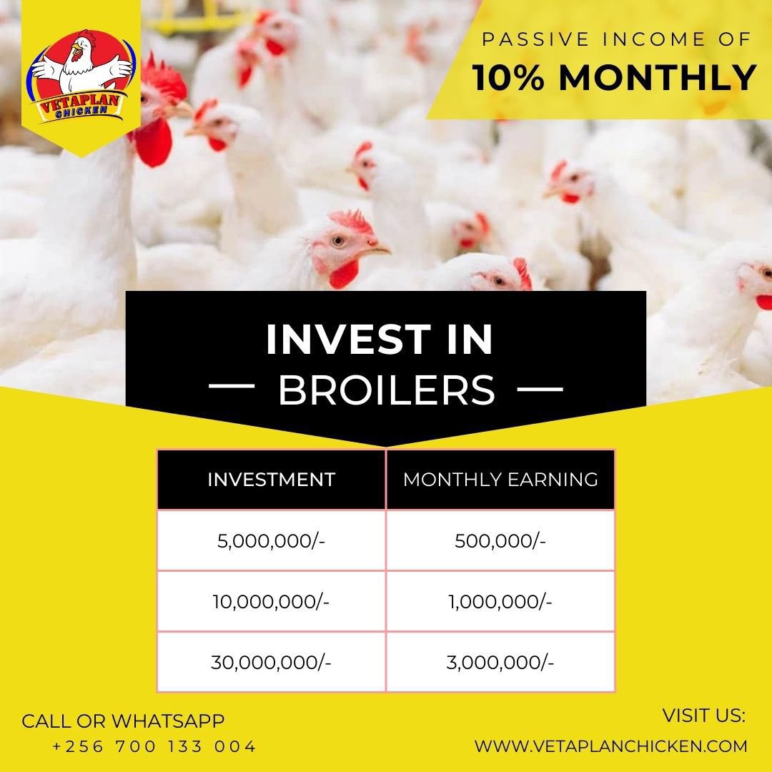 Earn 10% interest monthly by simply investing in broiler chicken with @vetaplanchicken from as low as UGX 5m to UGX 100m

Contact 0700133004 for inquiries 
#VetaplanChicken 
#DigitalPlanning