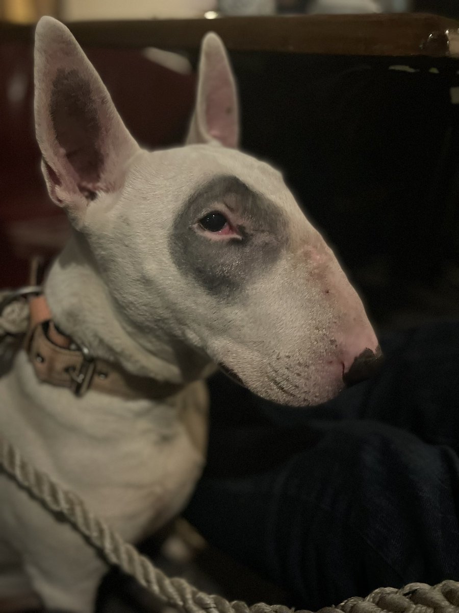 Birch Cottage Brewery tweet media