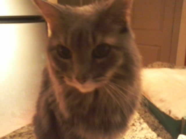 phyllida_midws tweet media