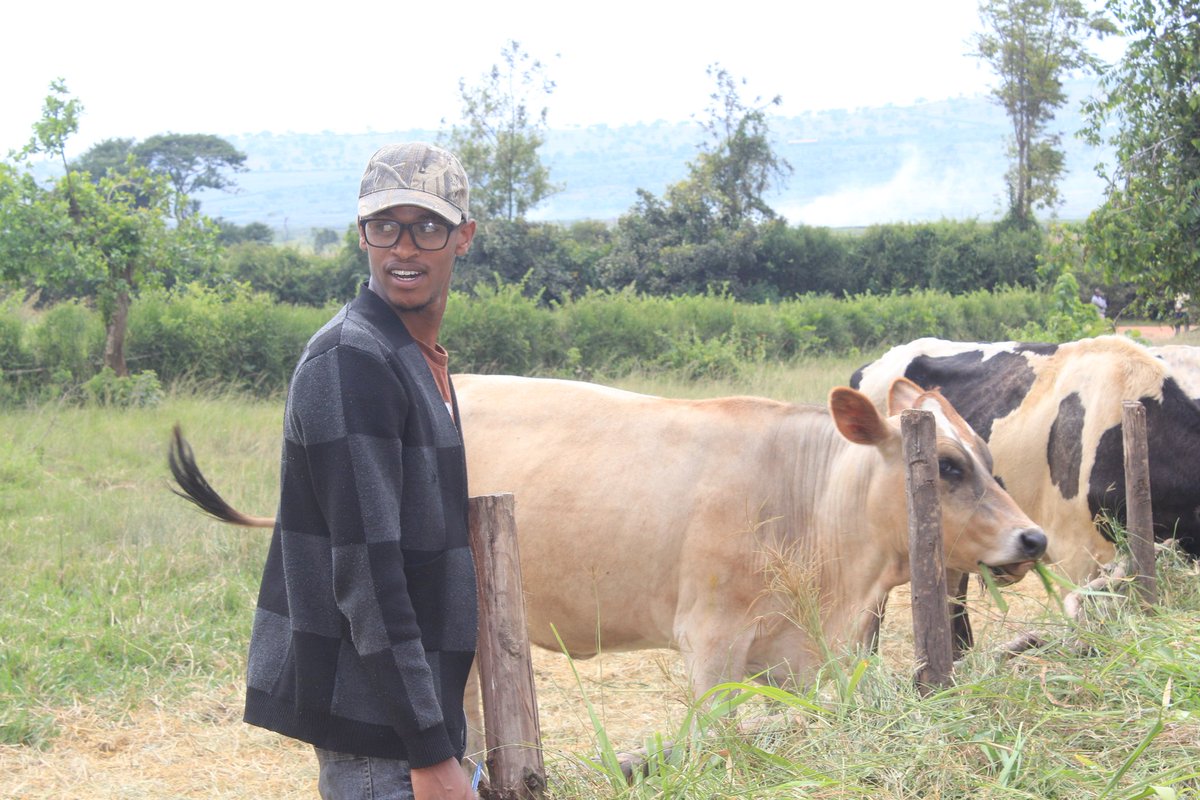 gatararaganza's tweet photo. Sasa twigire mu rwuri kuragira za #Kibamba na #Gaju iwabo w'Inka n'abantu @GatsiboDistrict 😍😍
@Ngabo_Karegeya natwe uzadusure maze tukwereke izacu, usibye ko zidatandukanye n'izo mu bigogwe daaa😂😊 https://t.co/wdkBMDrvnj