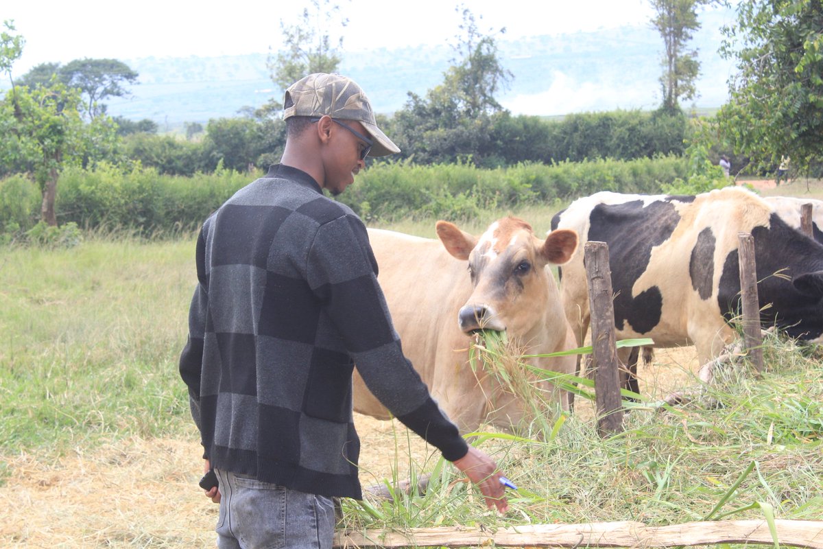 gatararaganza's tweet photo. Sasa twigire mu rwuri kuragira za #Kibamba na #Gaju iwabo w'Inka n'abantu @GatsiboDistrict 😍😍
@Ngabo_Karegeya natwe uzadusure maze tukwereke izacu, usibye ko zidatandukanye n'izo mu bigogwe daaa😂😊 https://t.co/wdkBMDrvnj