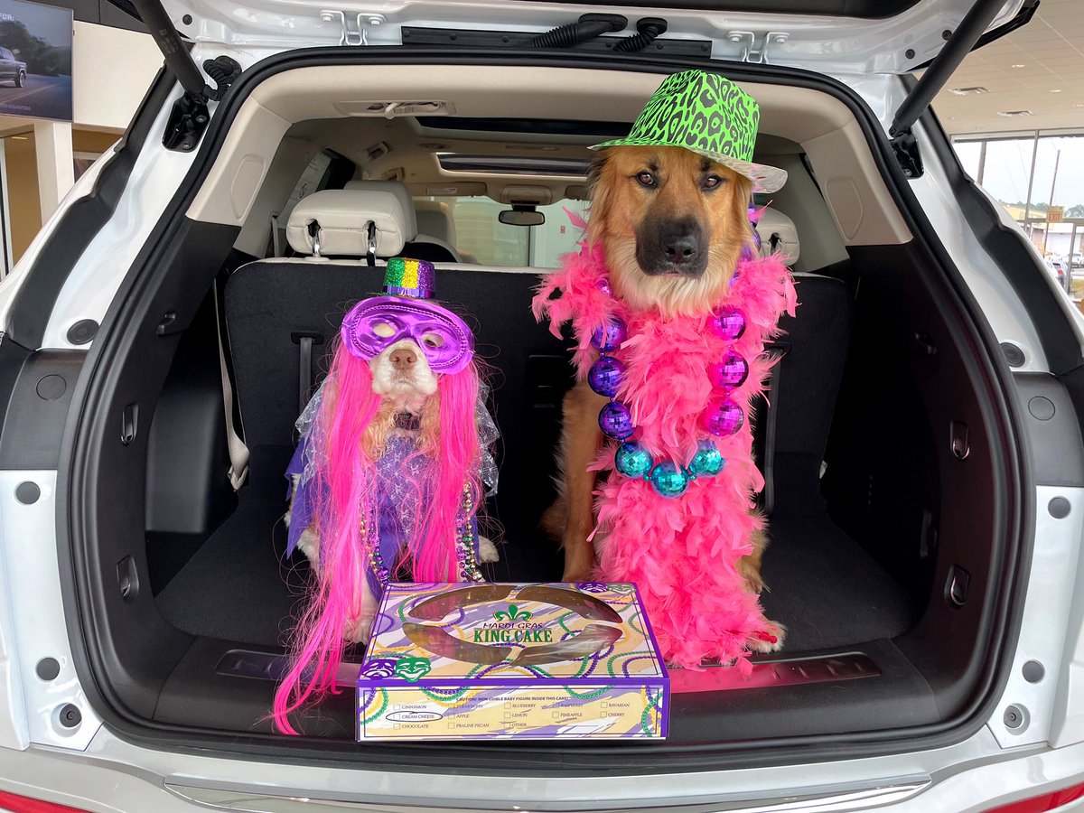 Laissez les bons temps rouler! 📿Happy #FatTuesday from the Buick Enclave!  We’re here until 6pm with great deals and savings with no dealer fees.  Come see us! 

#BusinessUnusual #PetFriendly