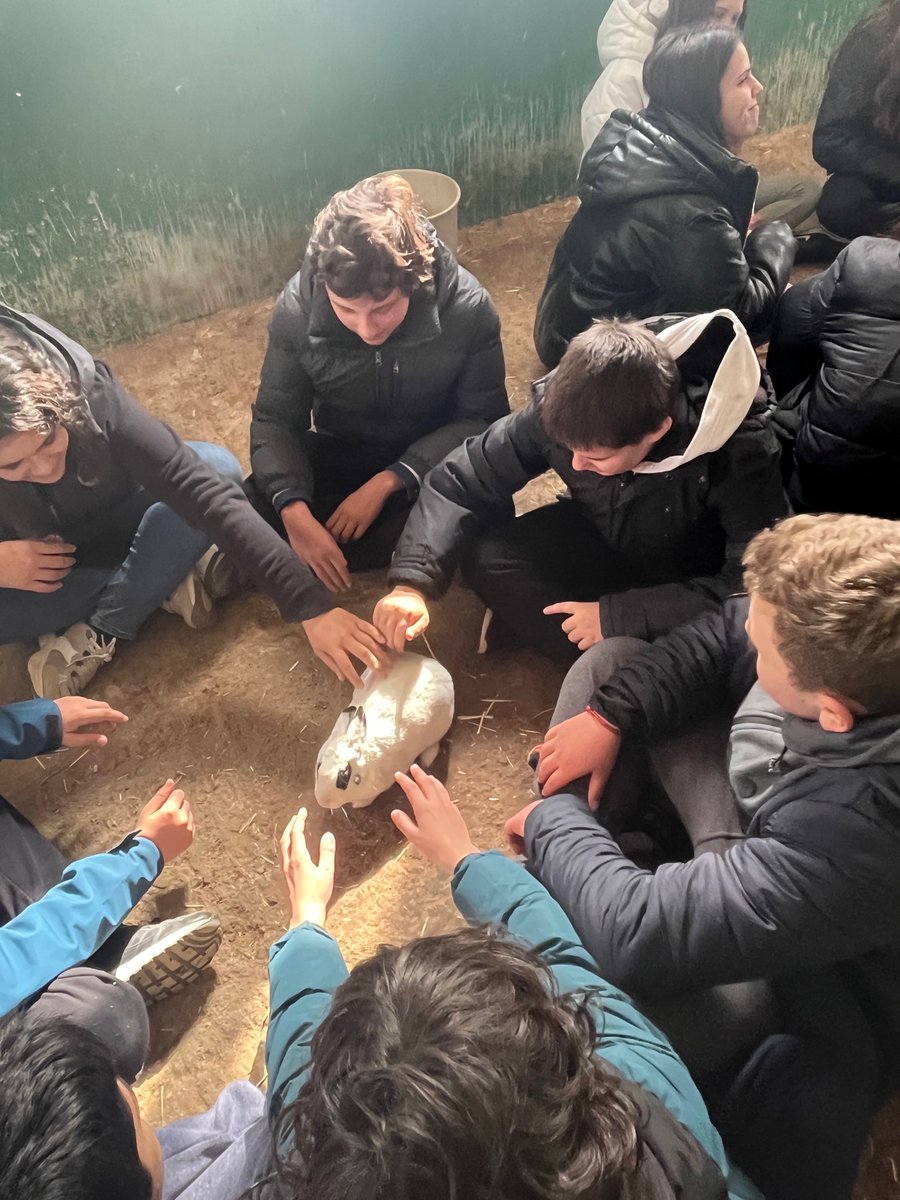 fecsjvmu's tweet image. Aquí podemos ver el 2º día en @farmcamp_ancora de nuestros alumnos de 2ºESO, tiro con arco y contacto con los animales. #megustamicole #somosFEC @colegiosfec