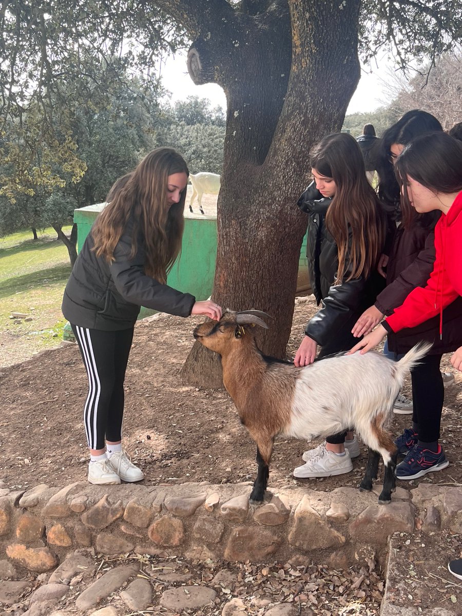 fecsjvmu's tweet image. Aquí podemos ver el 2º día en @farmcamp_ancora de nuestros alumnos de 2ºESO, tiro con arco y contacto con los animales. #megustamicole #somosFEC @colegiosfec