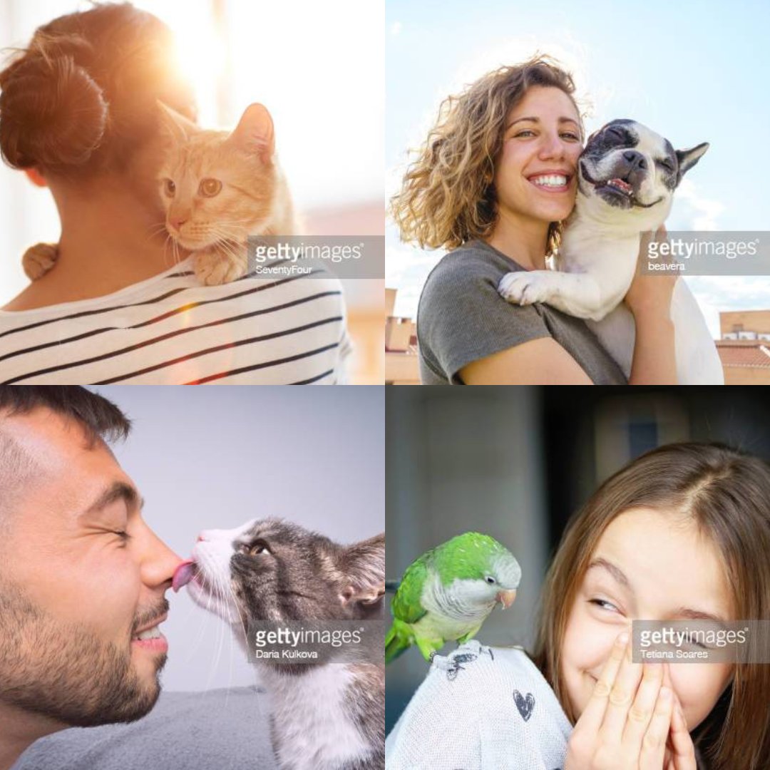 PopsyncNow's tweet photo. Yesterday was National Love Your Pet Day- except that's literally every day 😊

https://t.co/49w7JB4QEC 

#petlovers #doglife #catlife #puppylove #software #doglovers #catlovers #moodboards #saas #collaborative #workspaces #workspace #smiles #pets https://t.co/YqIFGc63WC