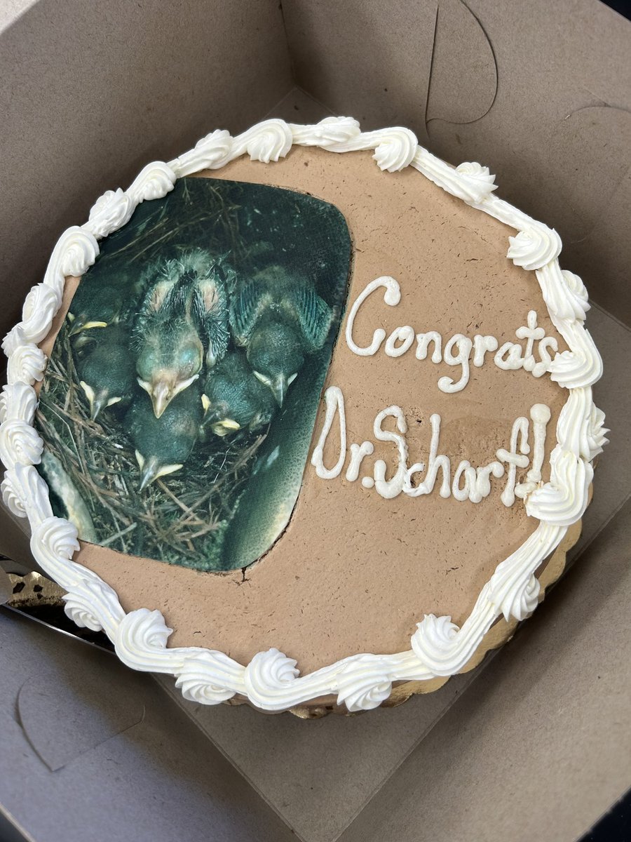 Hannah Scharf tweet media