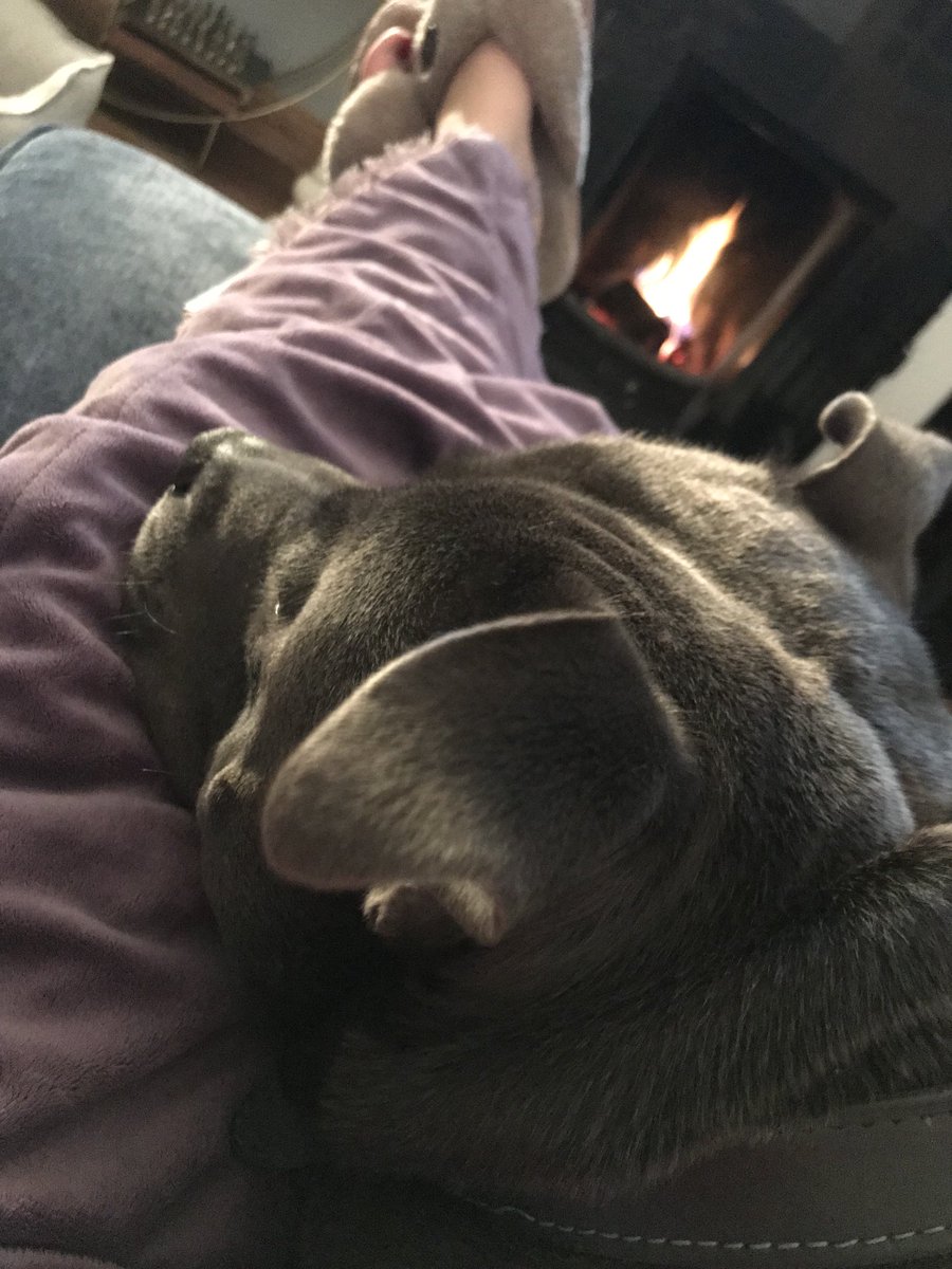 Litl_lady_t's tweet photo. Me, Loma and the fire 😍#bluestaff #dogsoftwitter 🐈⬛ https://t.co/Ypftd9PAws