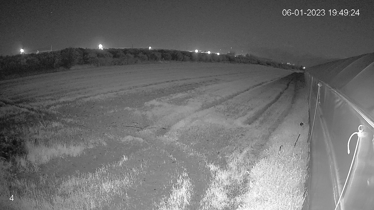 serikkamera's tweet image. #starlight @DahuaHQ #4mp