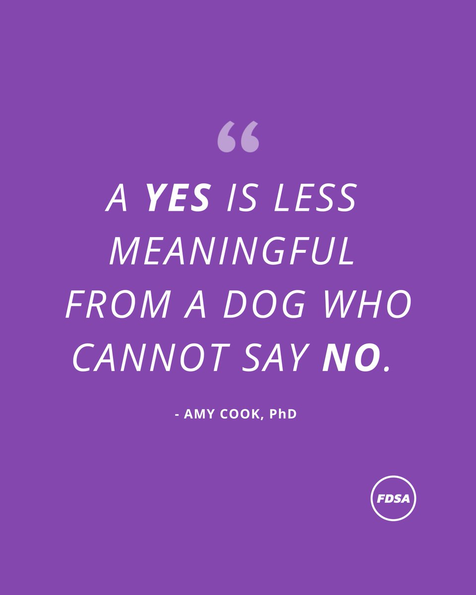 #TwitterDogCommunity #dogsoftwitter #doglover #senstivedog #quoteoftheday #positivereinforcementtraining #dogbehavior