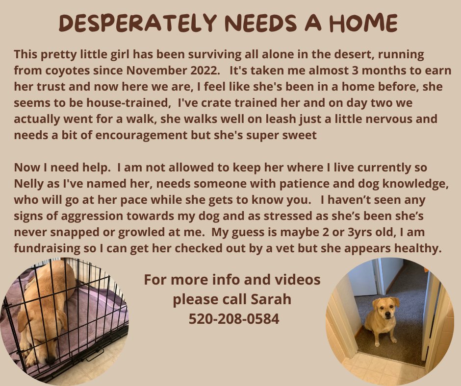Sarah44765290's tweet photo. https://t.co/s5rj2xom0X https://t.co/JMUfUVk7lL