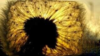 Dawn Howden 👁️💥🔥🤯 tweet media