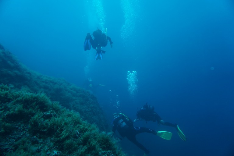 tsc-passau.de/2023/sk-orient… 
SK Orientierung - SK Orientierung

Voraussetzung zum Experienced Diver **

05. Mai 2023 - Freitag Abend Theorie im Taucherkammerl vom Verein

06. Mai 2023 Samstag Praxistauchgänge im Freigewässer

Anmeldung bei Eurer Ausbildun...
