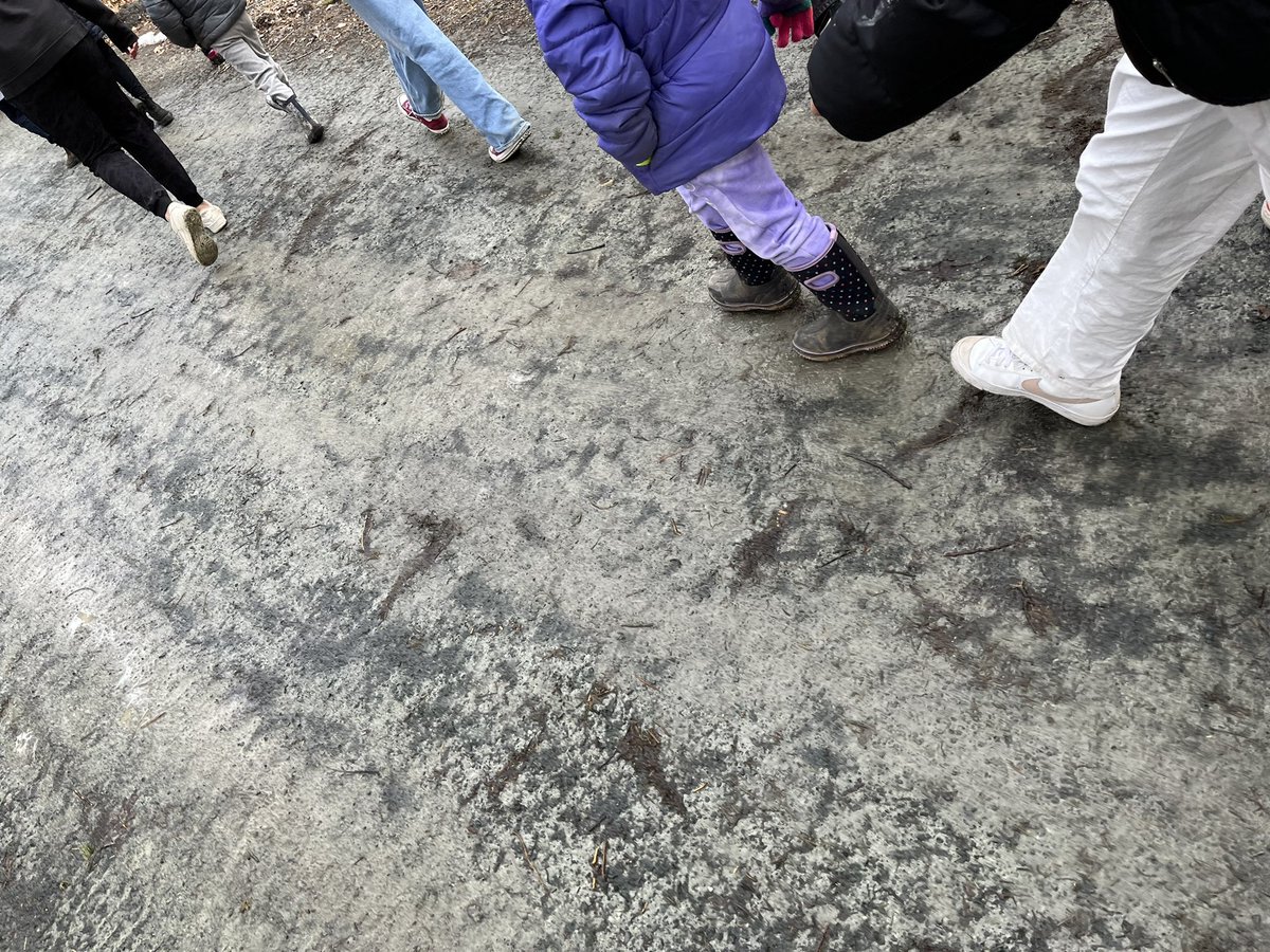SimonsenTeach's tweet photo. Enjoying Winter Walk Day with some animal friends❄️ @EcologyAction https://t.co/e6fhZ4EZ7g