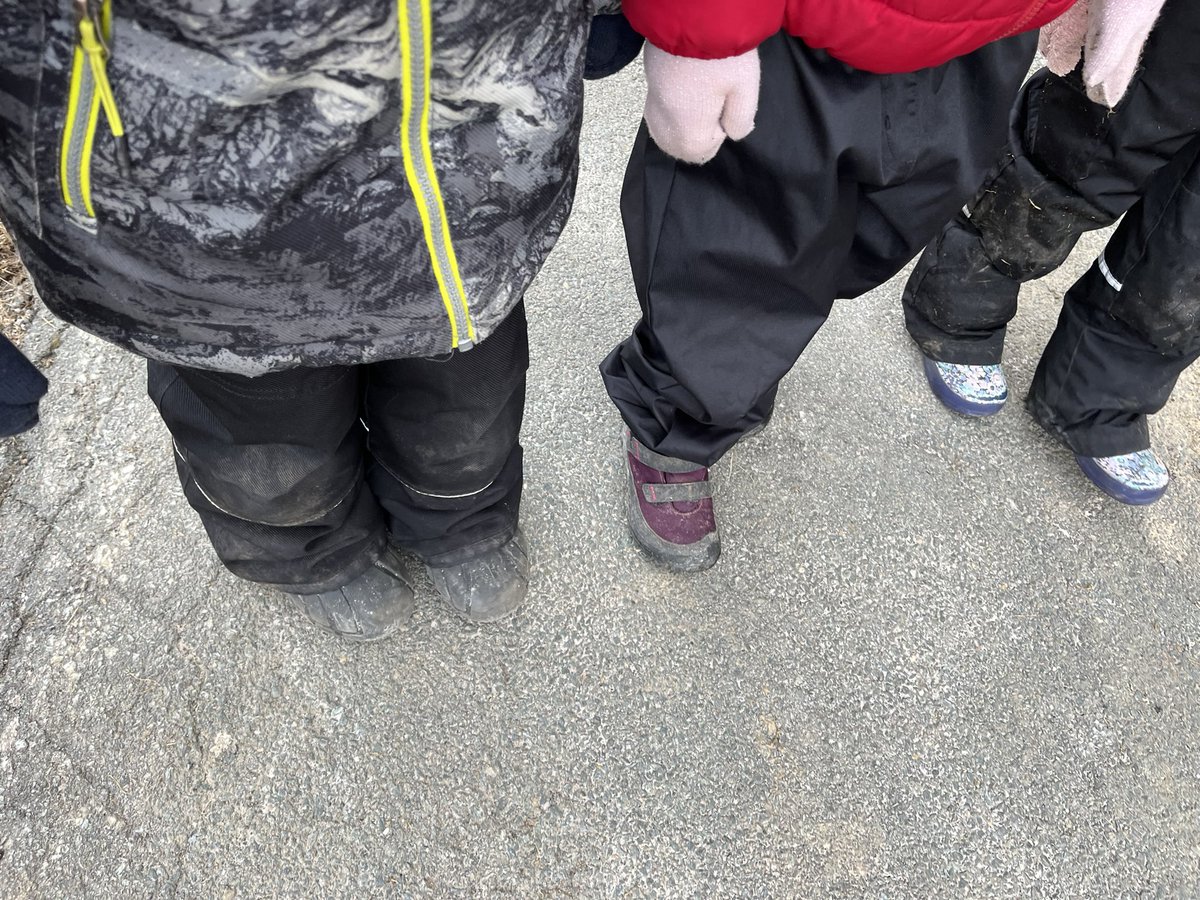 SimonsenTeach's tweet photo. Enjoying Winter Walk Day with some animal friends❄️ @EcologyAction https://t.co/e6fhZ4EZ7g