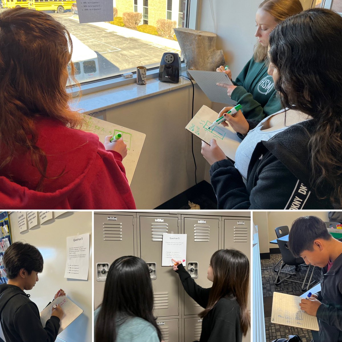 Biology students completed scavenger hunts to review Genetics vocabulary and practice problems.