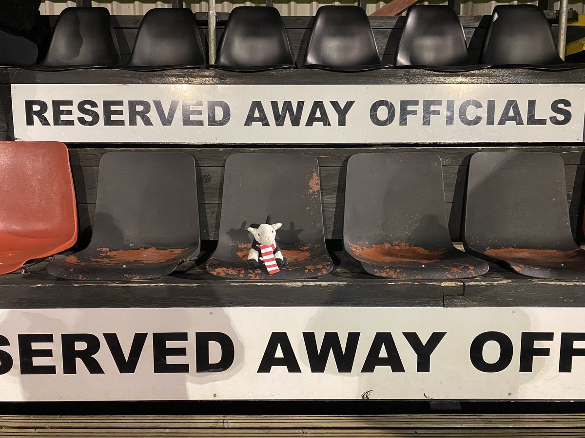 GaryTheGoat8's tweet photo. We're at footy and I still haven't had a bath 👍🐐🧡x https://t.co/0HbHQemIRp