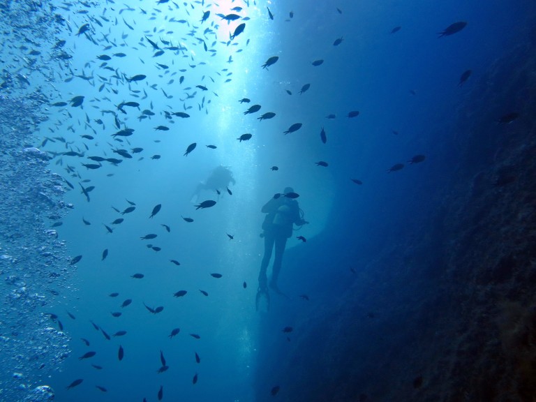 tsc-passau.de/2023/sk-gruppe… 
SK Gruppenführung - SK Gruppenführung

Voraussetzung zum Experienced Diver **

12. Mai 2023 - Freitag Abend Theorie im Taucherkammerl vom Verein

13. Mai 2023 Samstag Praxistauchgänge im Freigewässer

Anmeldung bei Eurer ...