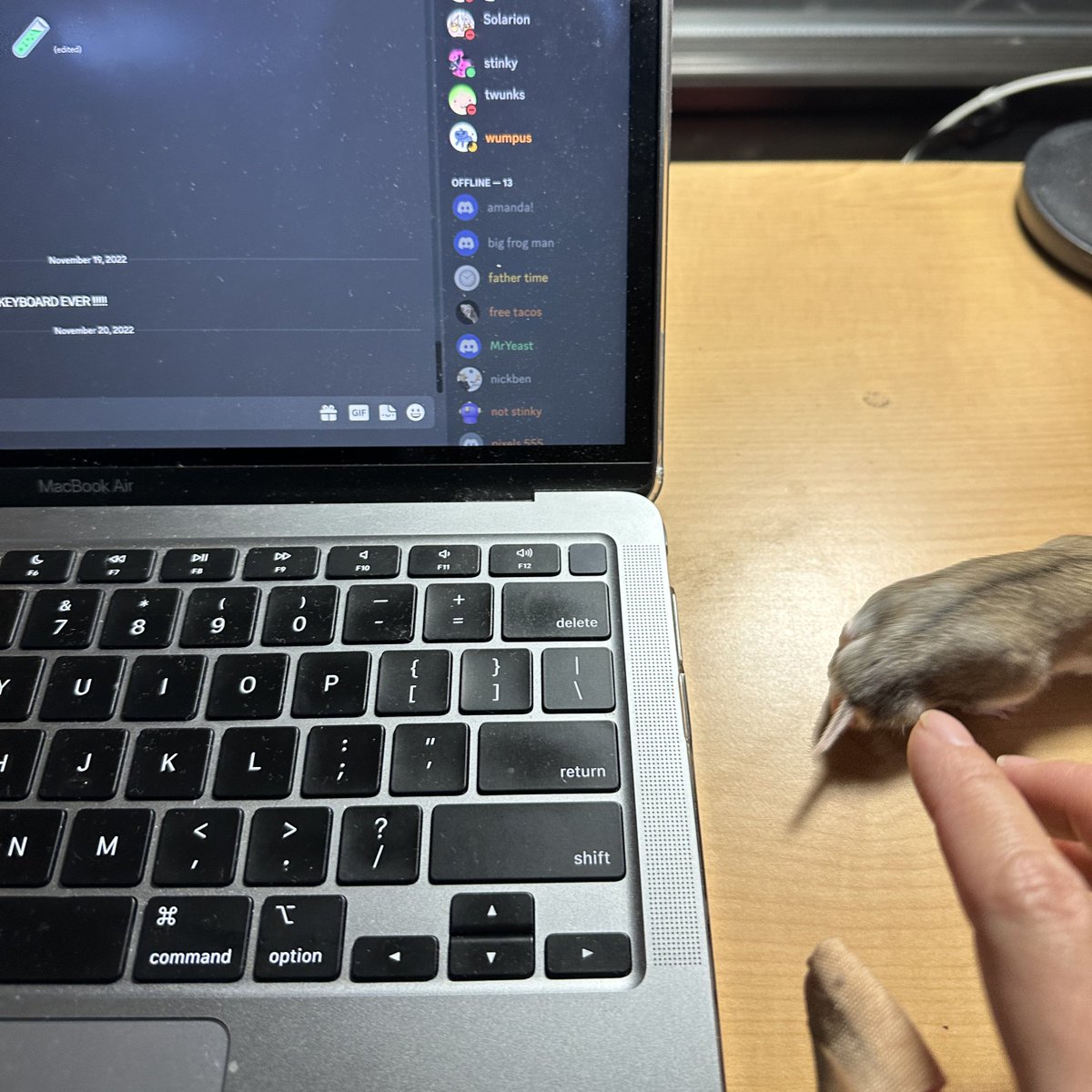 help my mouse is getting away