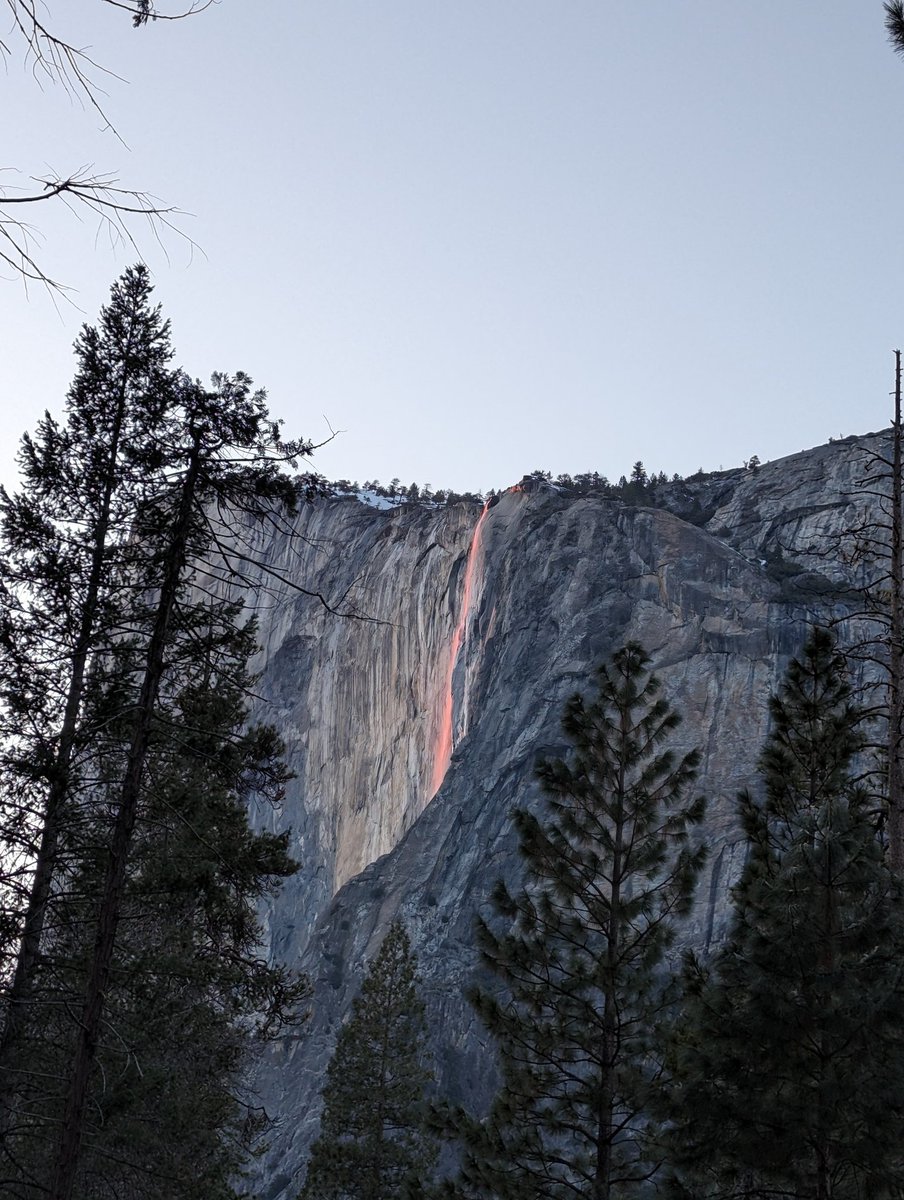 Sweekriti Satpathy tweet media