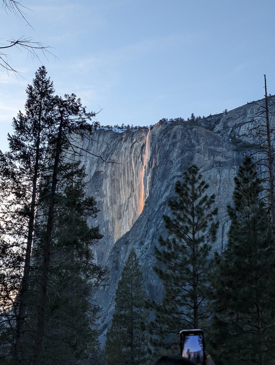 Sweekriti Satpathy tweet media