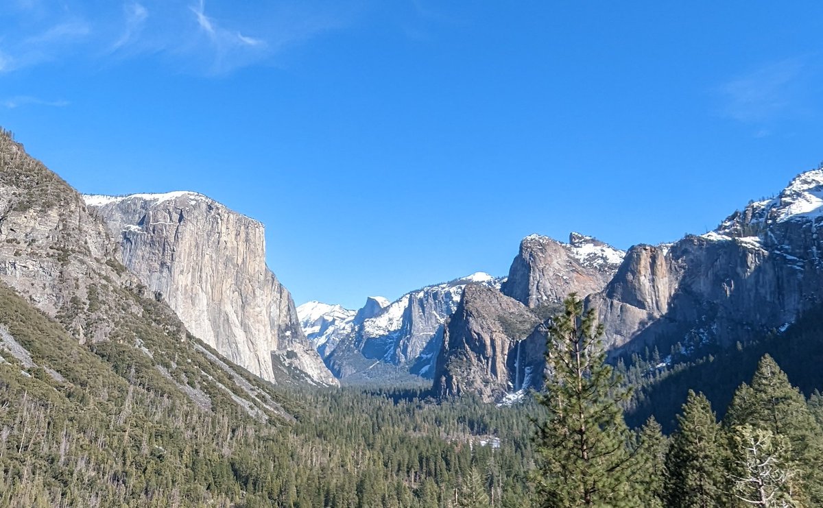 Sweekriti Satpathy tweet media